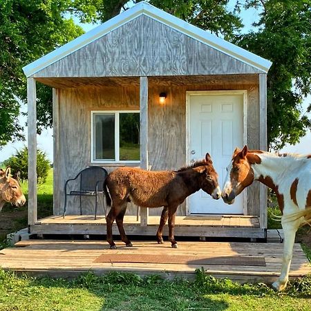 Tiny Cabin At The Donkeyranch Medicine Park Buitenkant foto
