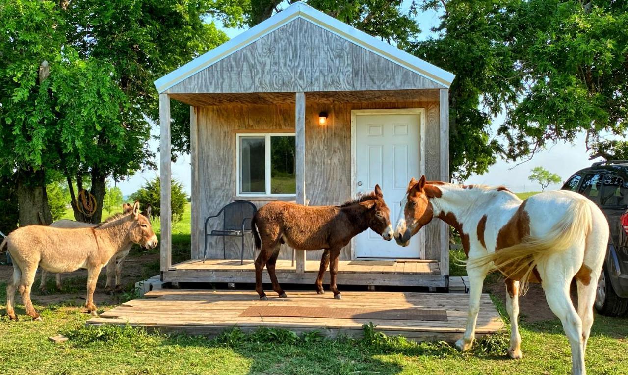 Tiny Cabin At The Donkeyranch Medicine Park Buitenkant foto