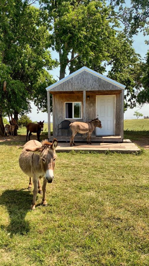 Tiny Cabin At The Donkeyranch Medicine Park Buitenkant foto
